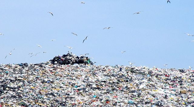Rusko Landfill ritalgio